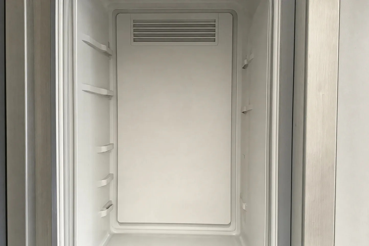 Empty refrigeration column interior with every shelf removed, the rear evaporator cover dry and frost-free